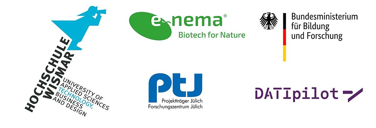 Das Bild zeigt die Logos von fünf Organisationen: Hochschule Wismar, e-nema, Bundesministerium für Bildung und Forschung (BMBF), Projektträger Jülich (PtJ) und DAtpilot. Die Logos repräsentieren die beteiligten Partner des Projekts.