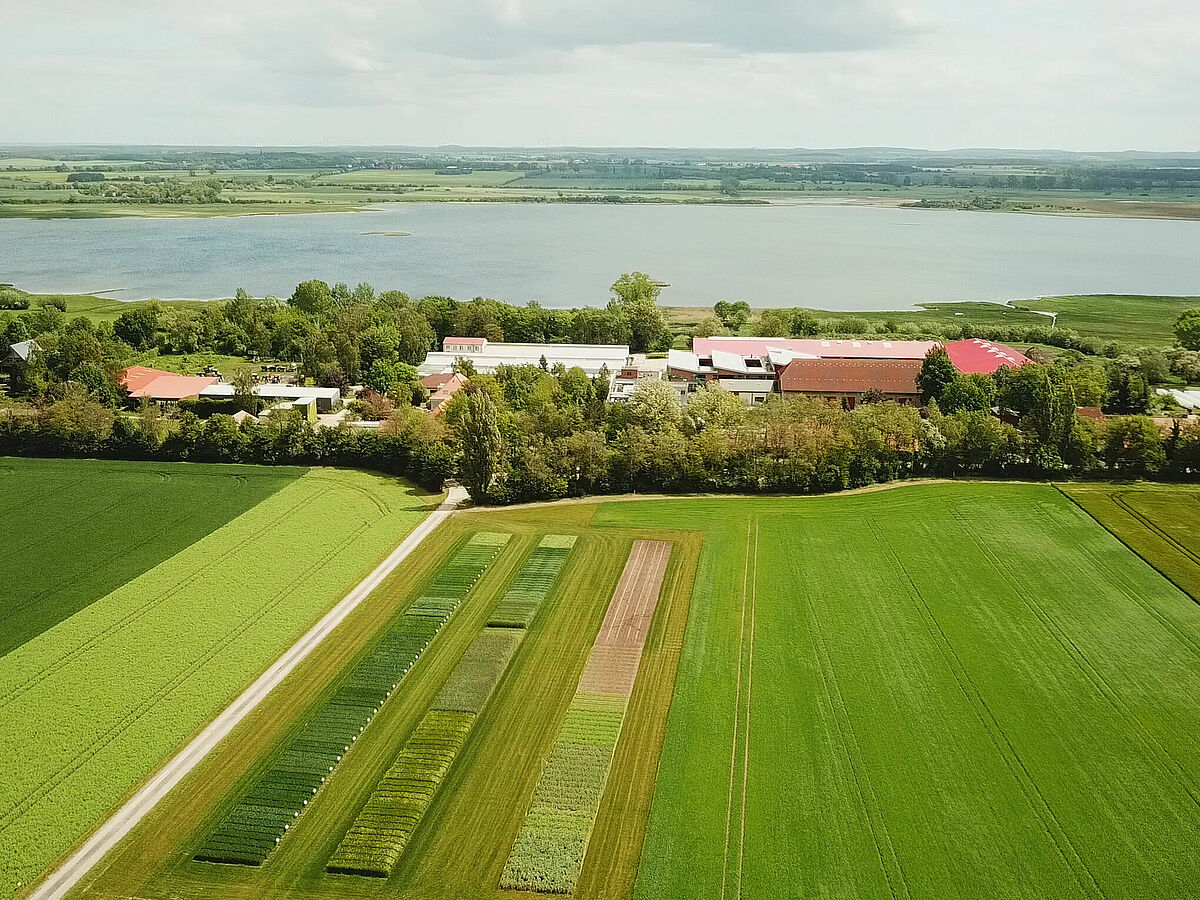 360° Rundgang Schaugarten Malchow